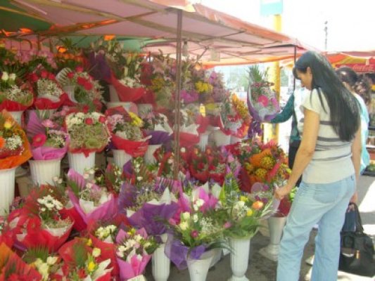 Căldura scade preţul florilor